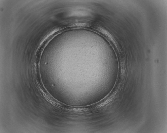 X0000085830827200703301617