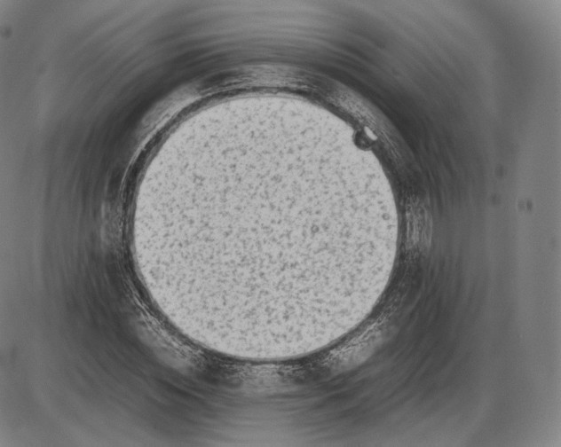 X0000085830828200703301617