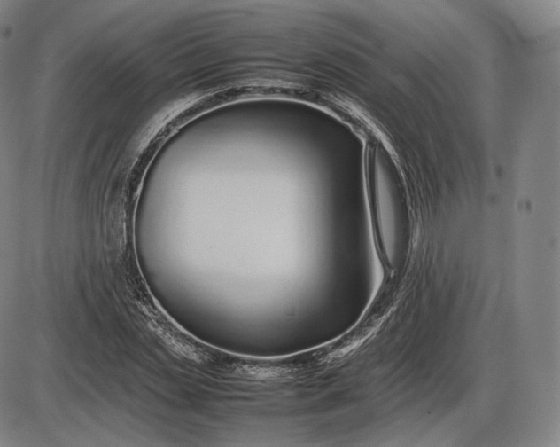 X0000085830829200703301617