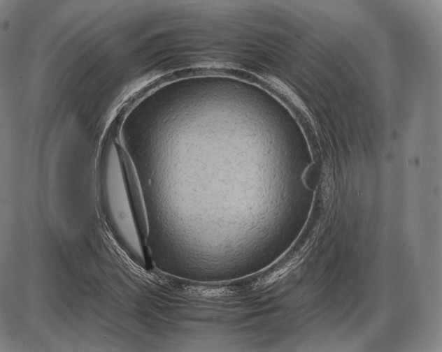 X0000085830831200703301617