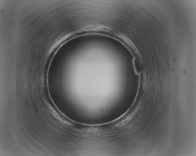 X0000085830834200703301617