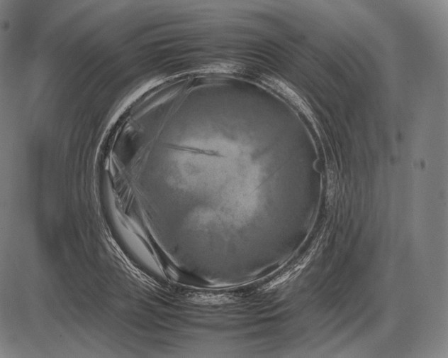 X0000085830835200703301617