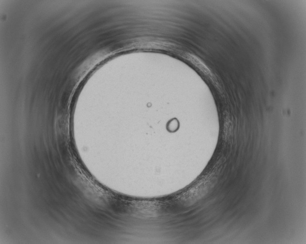 X0000085830836200703301617