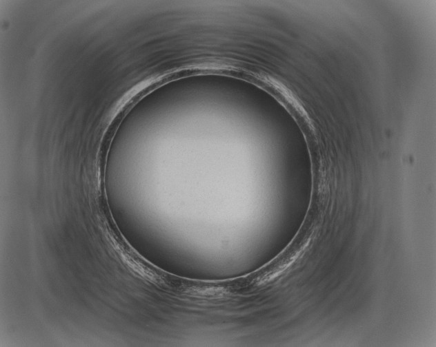 X0000085830837200703301617