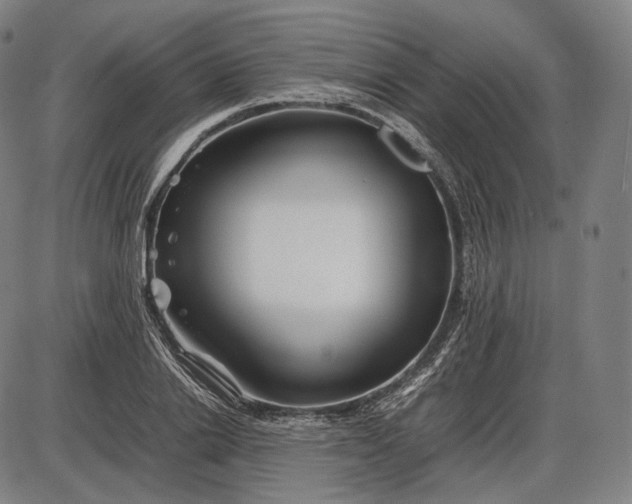 X0000085830838200703301617