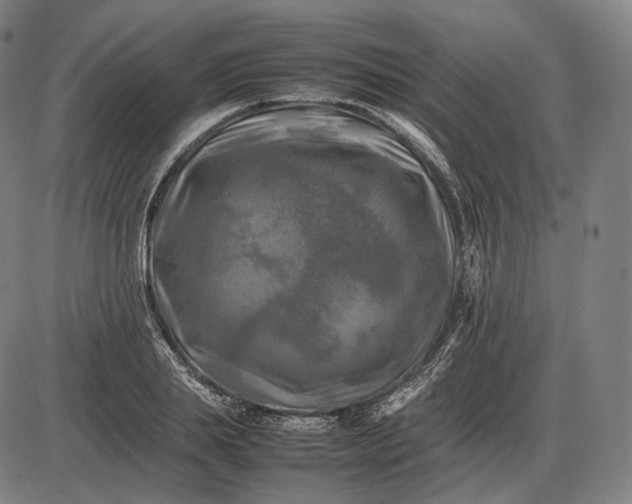 X0000085830839200703301617