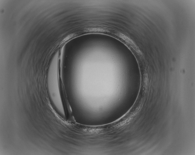 X0000085830841200703301617