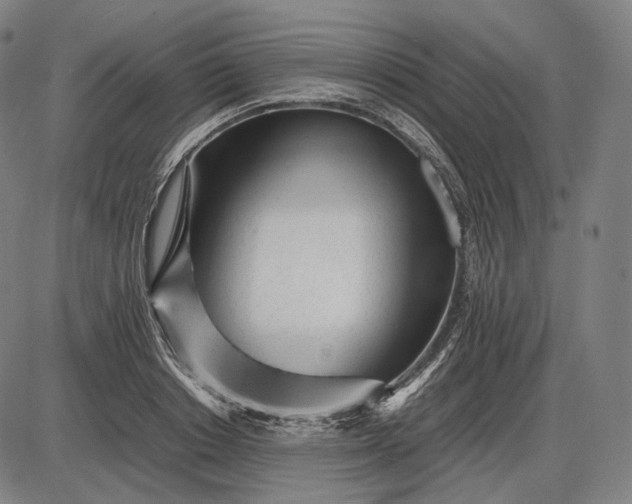 X0000085830842200703301617