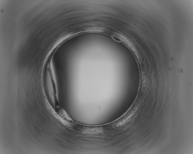 X0000085830843200703301617