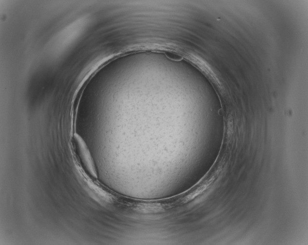 X0000085830844200703301617