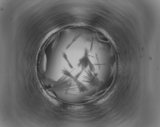 X0000085830845200703301617