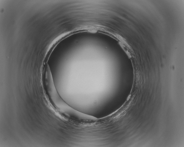 X0000085830846200703301617