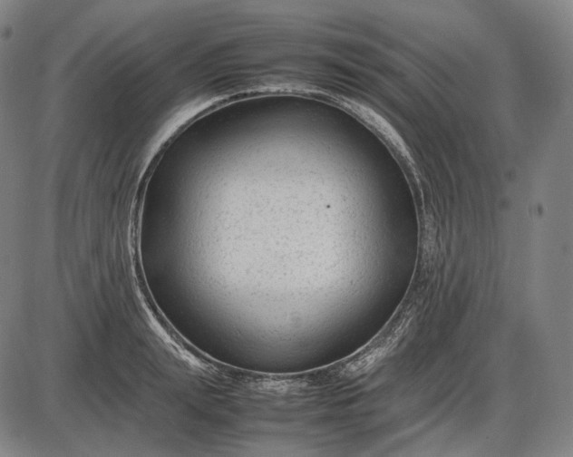 X0000085830847200703301617