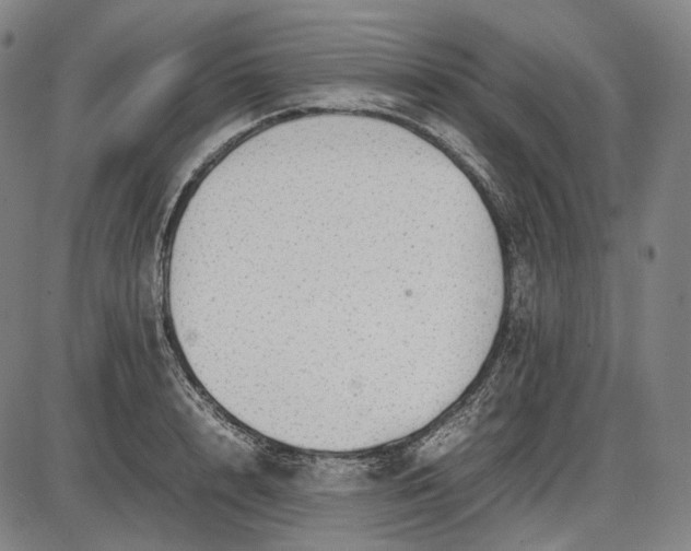 X0000085830848200703301617