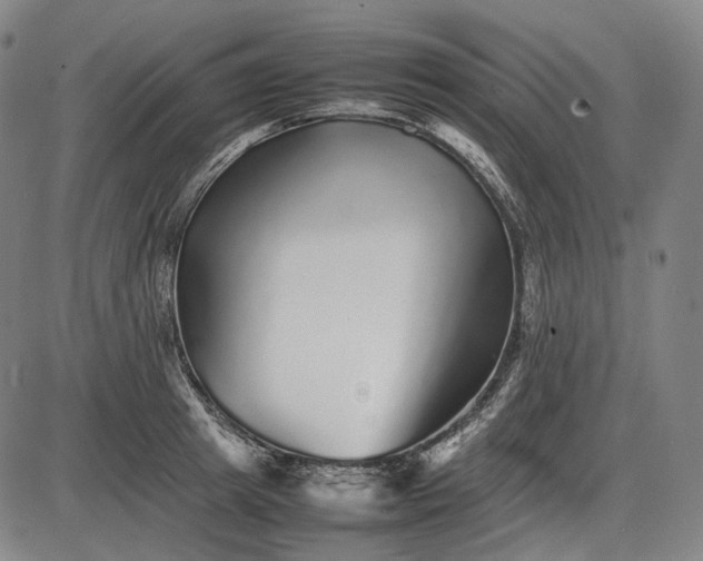 X0000085830849200703301617