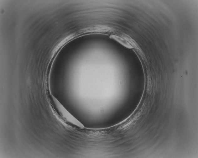 X0000085830850200703301617