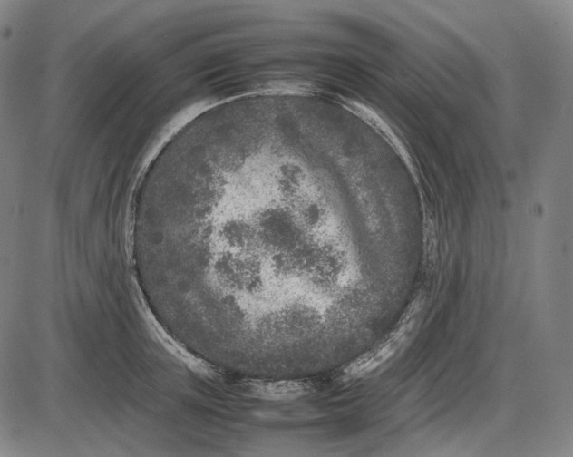 X0000085830851200703301617