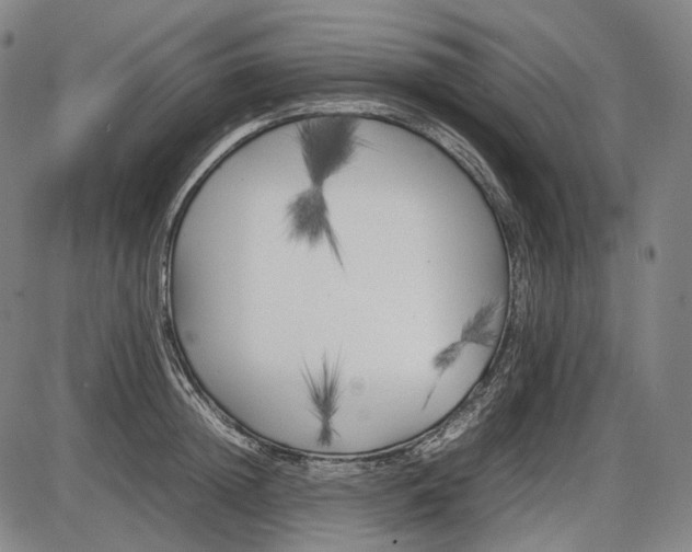 X0000085830852200703301617