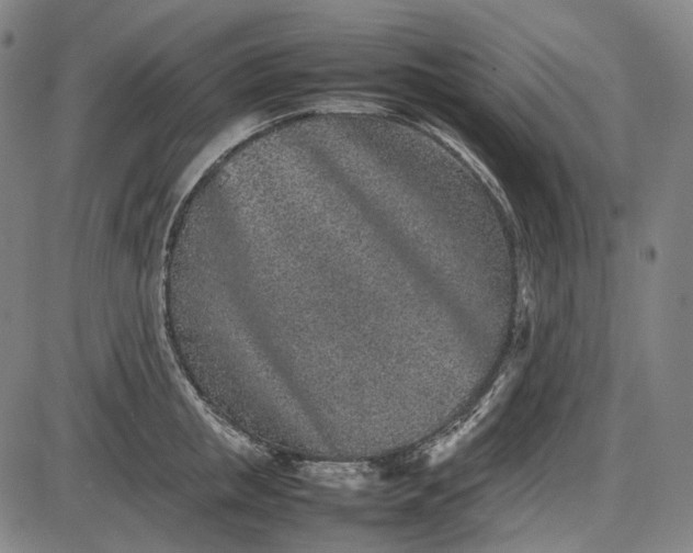 X0000085830853200703301617