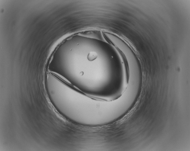 X0000085830854200703301617