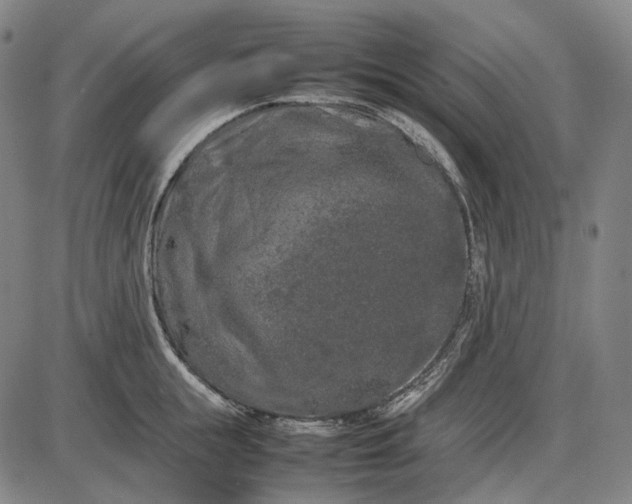 X0000085830855200703301617