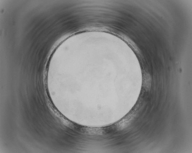 X0000085830856200703301617