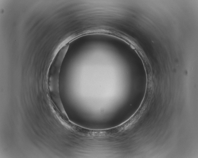 X0000085830858200703301617