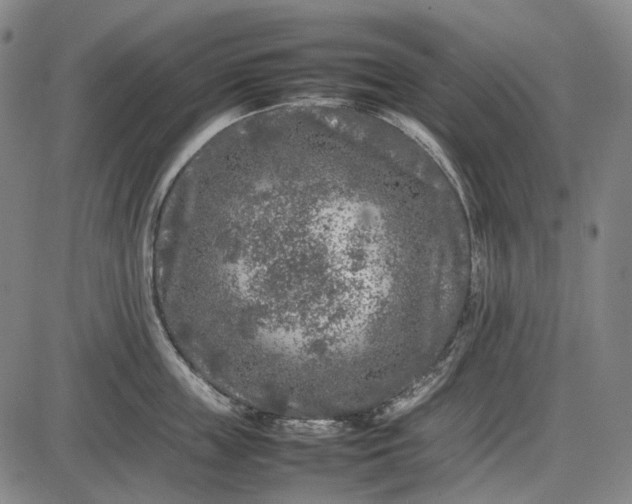 X0000085830859200703301617