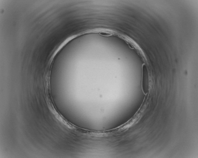 X0000085830860200703301617