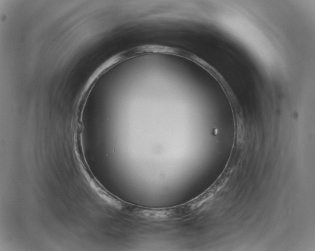 X0000085830861200703301617