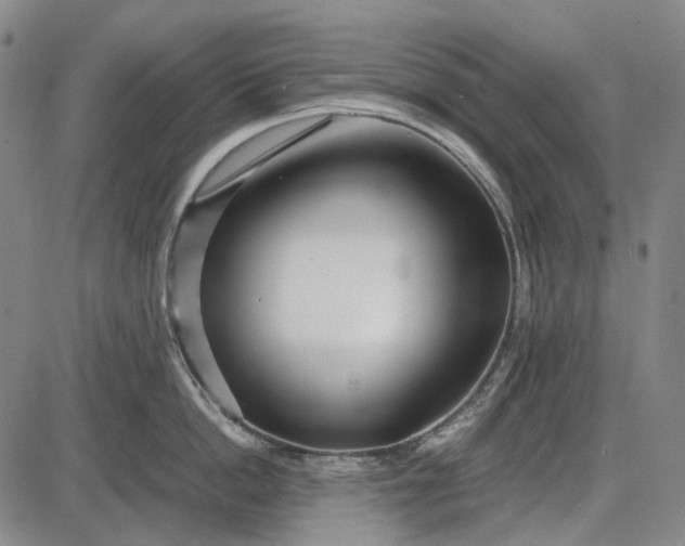 X0000085830862200703301617