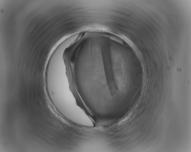 X0000085830864200703301617