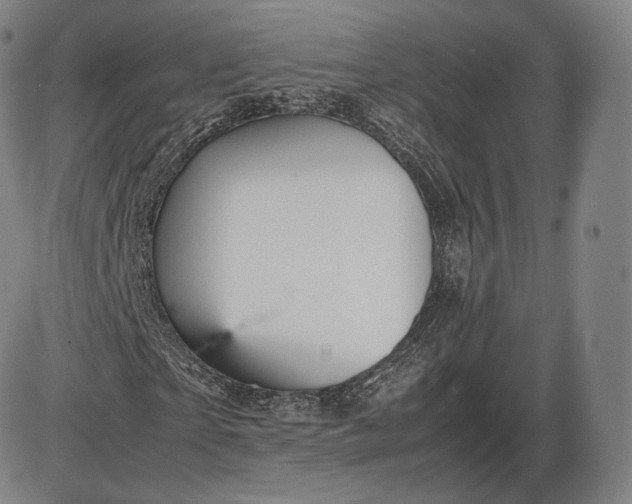 X0000085830865200703301617