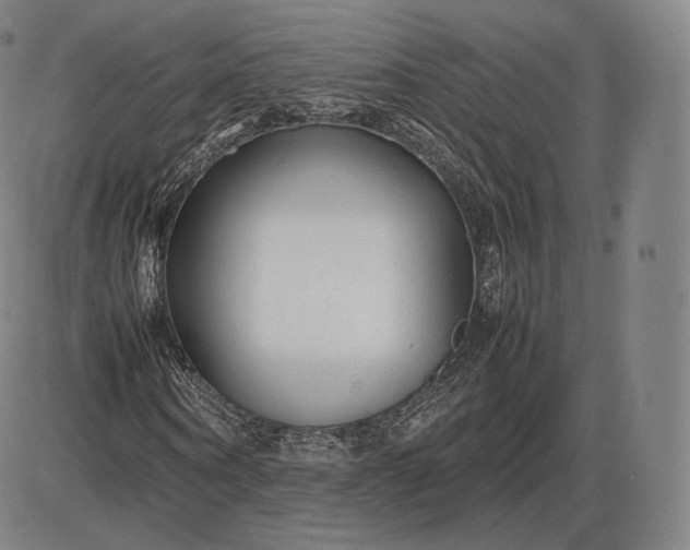 X0000085830866200703301617