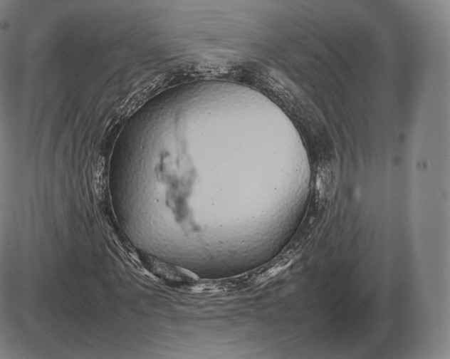 X0000085830867200703301617