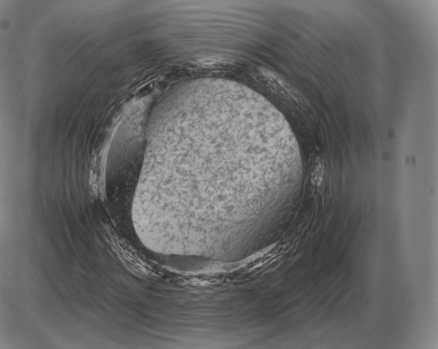 X0000085830868200703301617