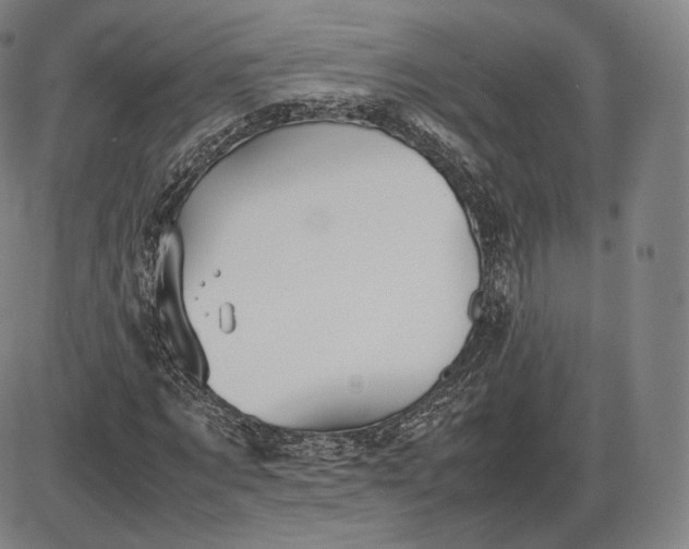 X0000085830869200703301617