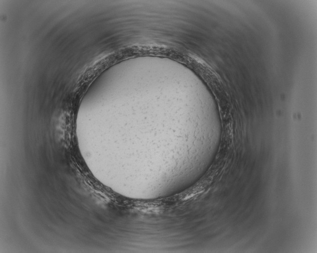 X0000085830870200703301617