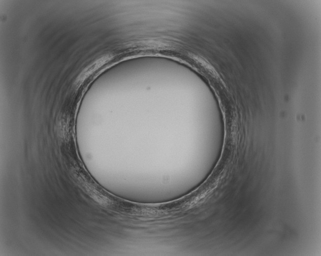 X0000085830873200703301616