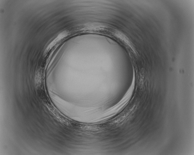 X0000085830874200703301616