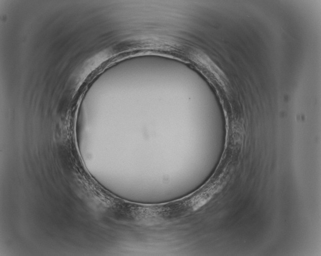 X0000085830875200703301616