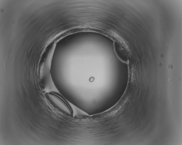 X0000085830876200703301616