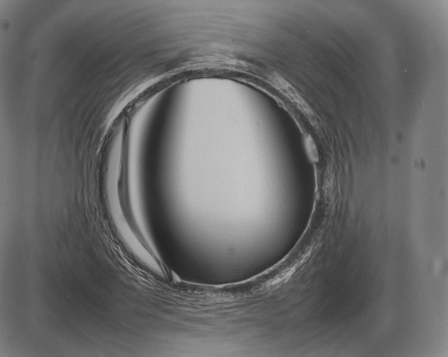 X0000085830877200703301616