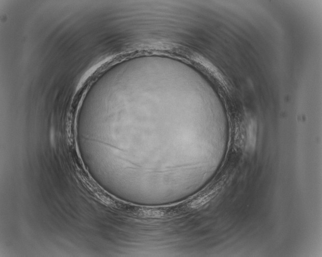 X0000085830878200703301616