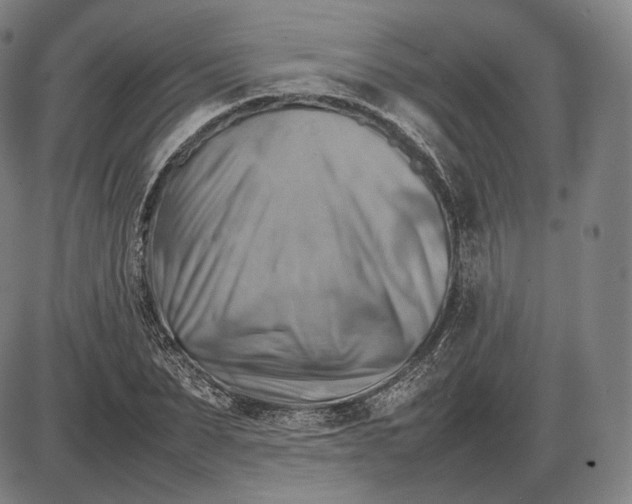 X0000085830879200703301616