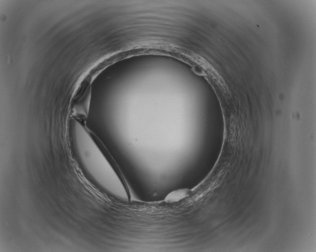 X0000085830880200703301616