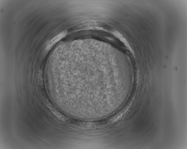 X0000085830881200703301616