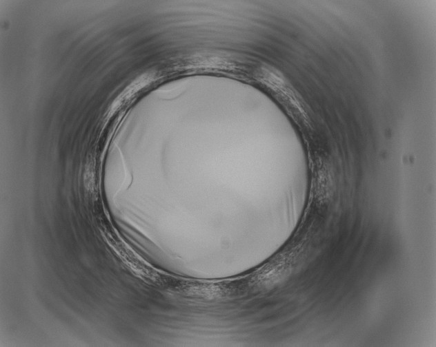 X0000085830882200703301616