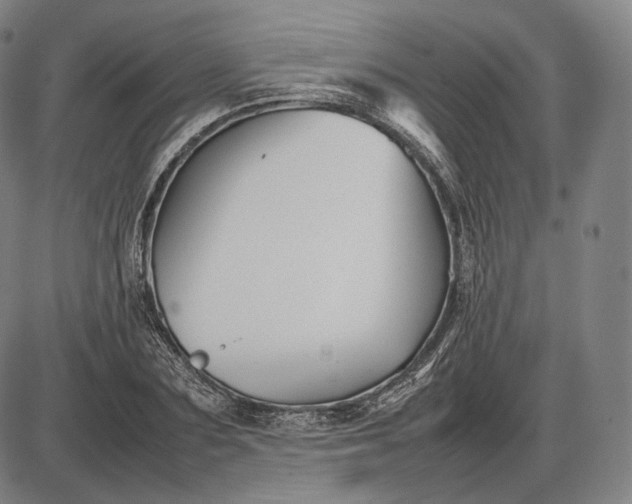 X0000085830883200703301616