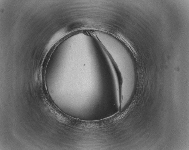 X0000085830884200703301616